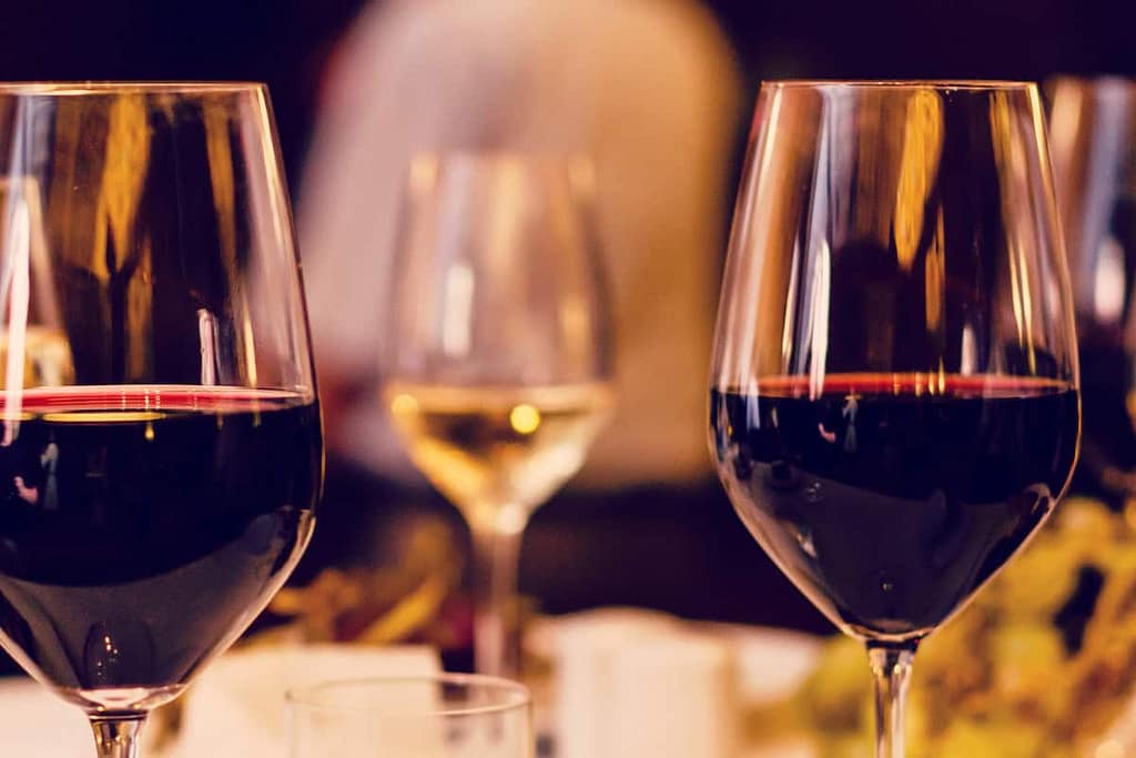 Wine Pairing Guide: The Best Food and Drink Match