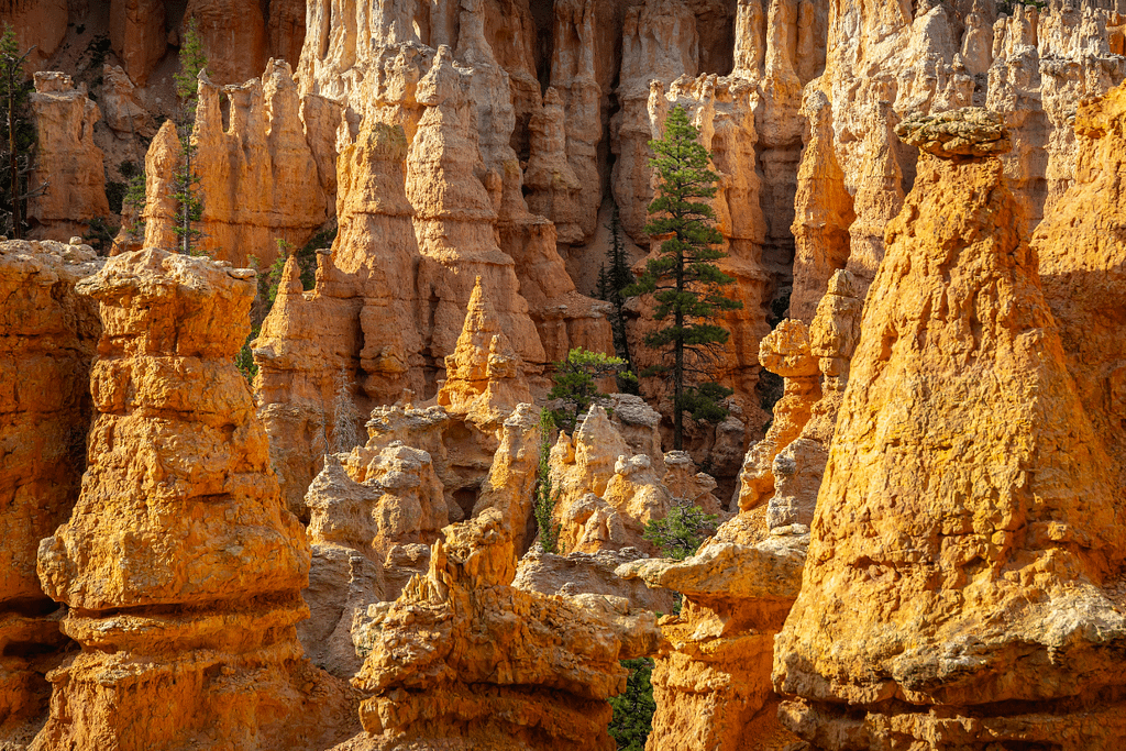 Driving Between Bryce Canyon to Zion National Park