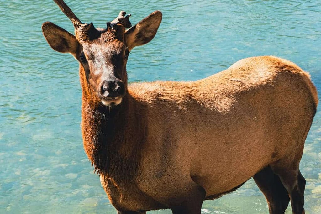 The Best Guide for Visiting Banff in September