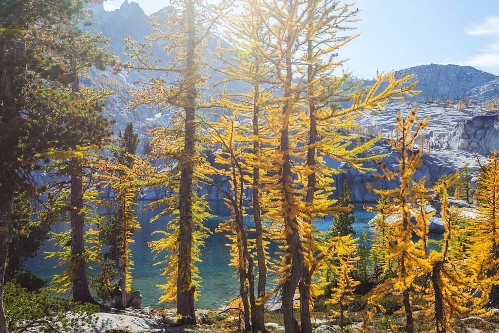 visit banff in september