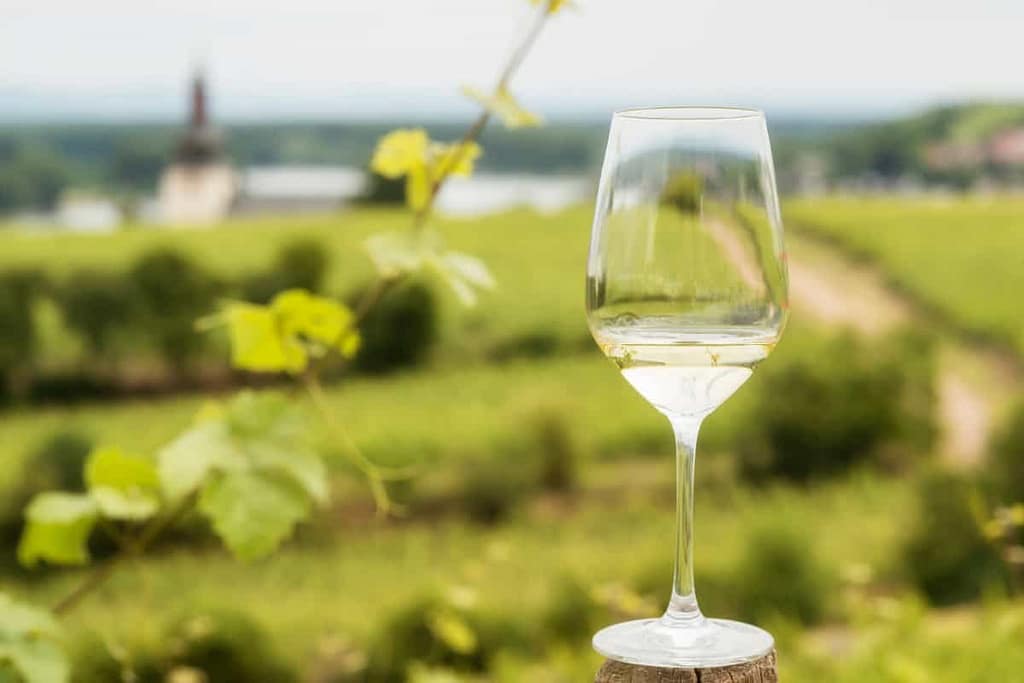 Wine Pairing Guide: The Best Food and Drink Match