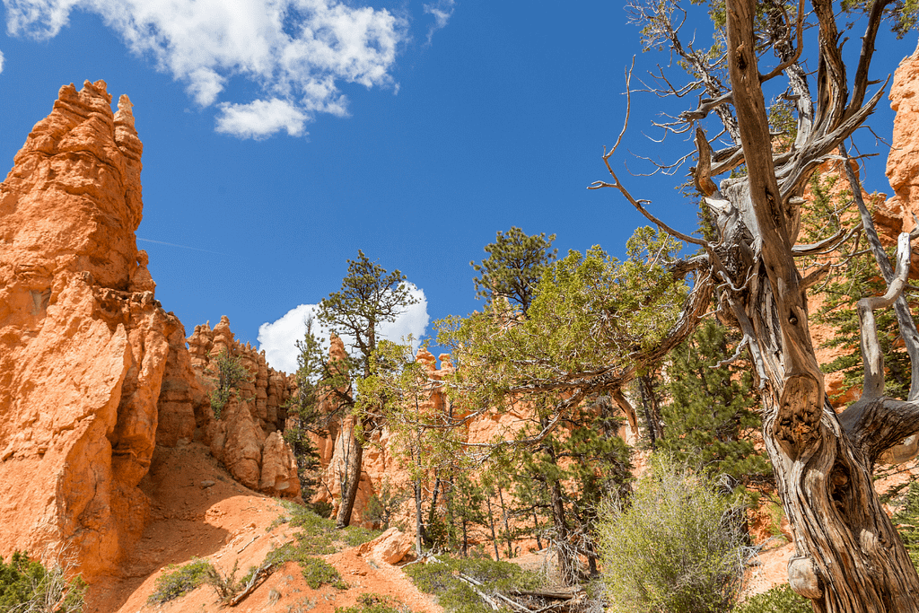 Distance from Las Vegas to Bryce Canyon National Park