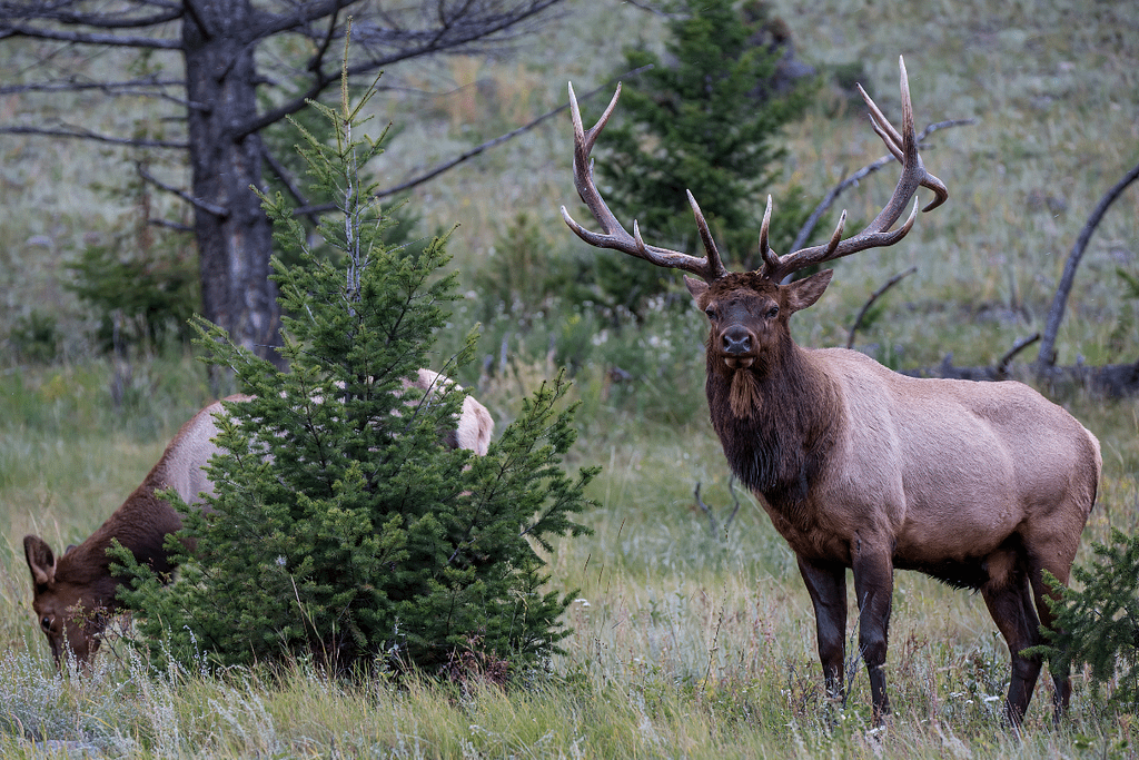 Hidden Gems in Banff National Park, Best Secret Spots