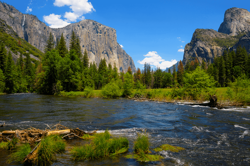 distance from yosemite national park to san francisco