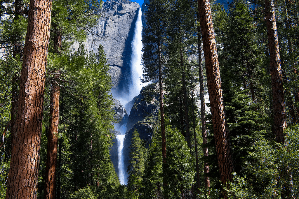 Driving Trip from Yosemite National Park to San Francisco