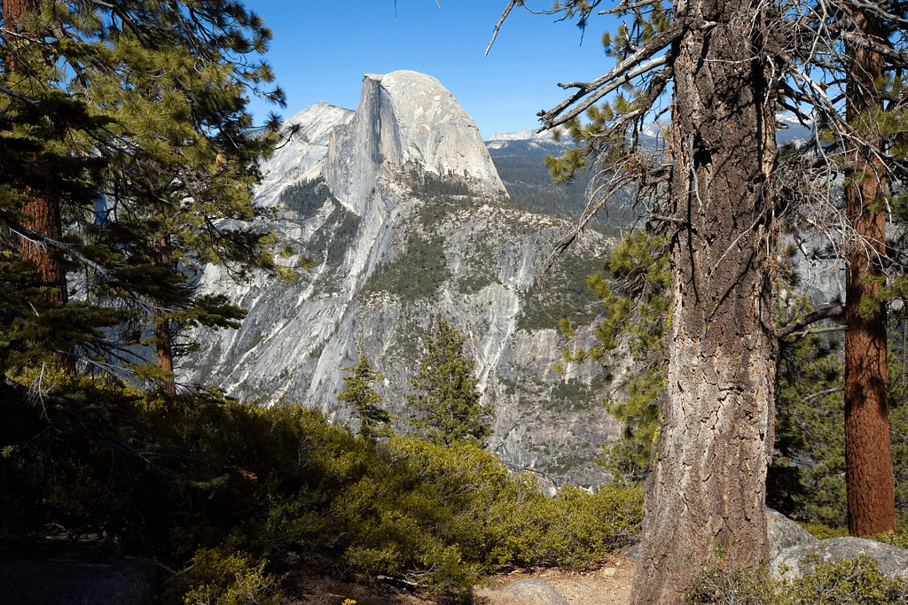 distance from yosemite national park to san francisco
