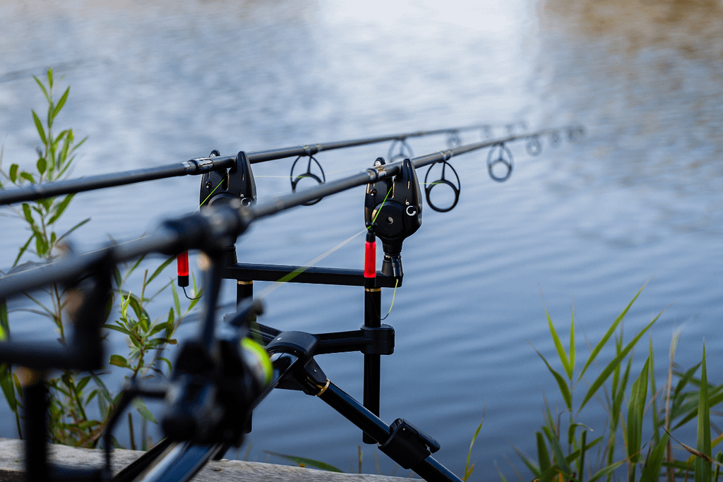 Syndicate Carp Lakes in Kent: Top Fishing Spots for Enthusiasts