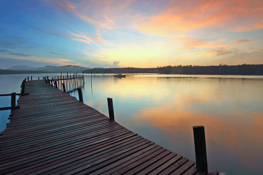 Syndicate Carp Lakes in Kent: Top Fishing Spots for Enthusiasts