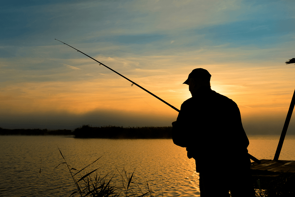 Syndicate Carp Lakes in Kent: Top Fishing Spots for Enthusiasts
