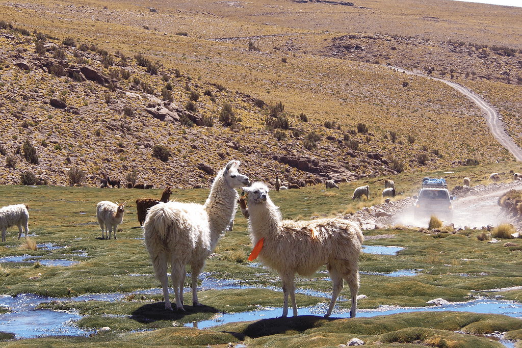 festivals in bolivia