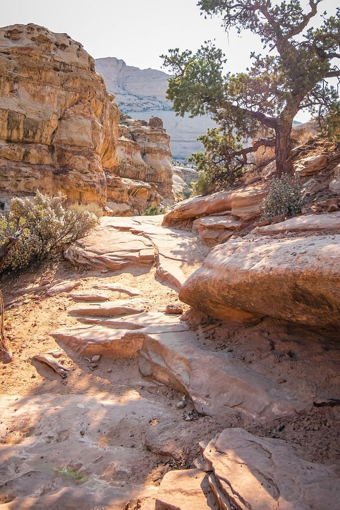 St George Utah National Parks: Explore Nature's Wonders